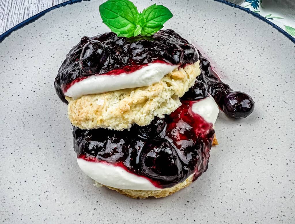 Close-up shot of Blueberry Shortcake on a plate.