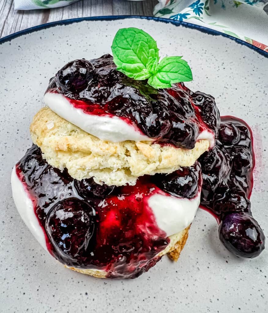 Blueberry Shortcake on a plate.