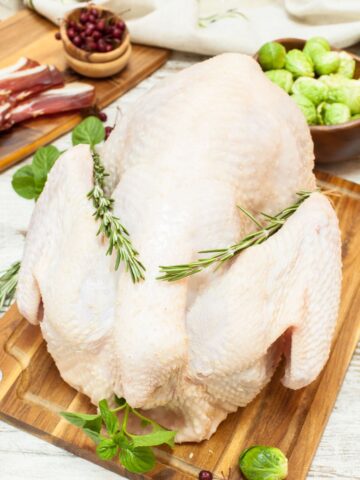 Whole raw turkey ready to go into the oven.