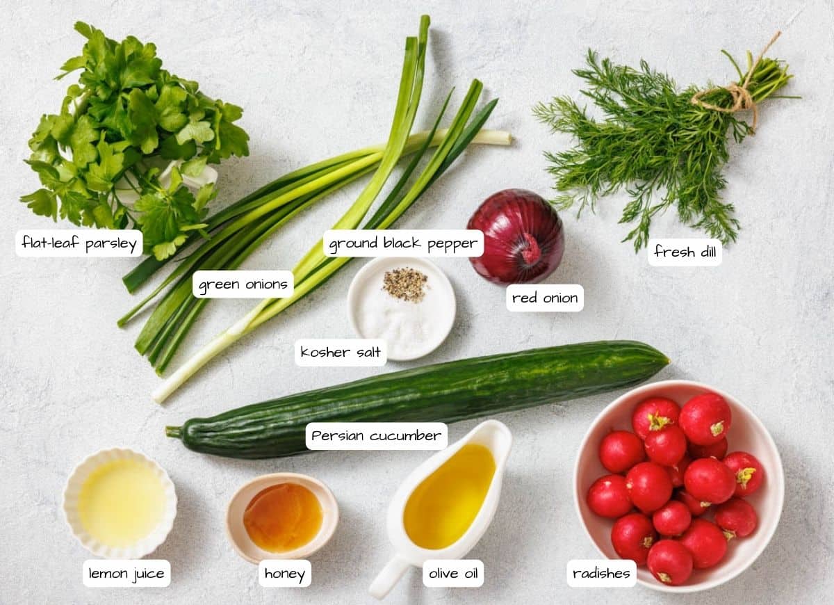 Radish Salad (Dairy Free) - Retro Recipe Book