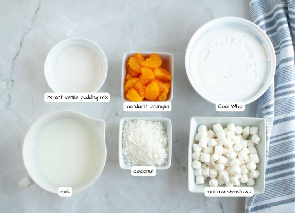 Overhead shot of labeled ingredients for Orange Fluff Salad: instant vanilla pudding mix, mandarin oranges, Cool Whip, coconut, mini marshmallows, and milk.