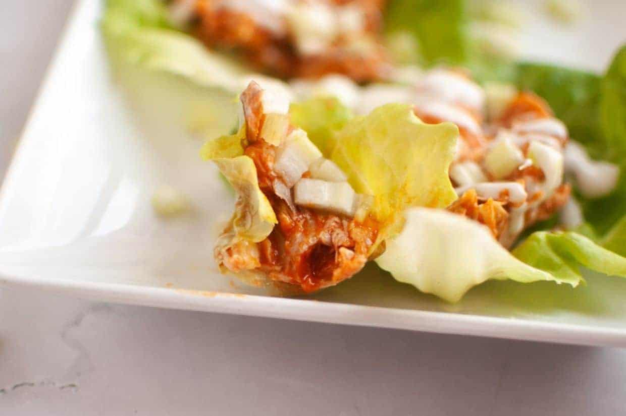 Close-up of a Buffalo Chicken Lettuce Wraps placed on a white plate.