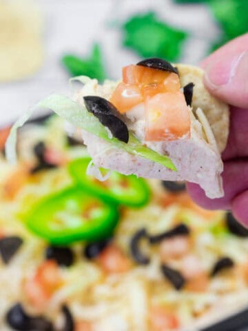 A hand is holding a chip topped with Tex-mex taco dip above.