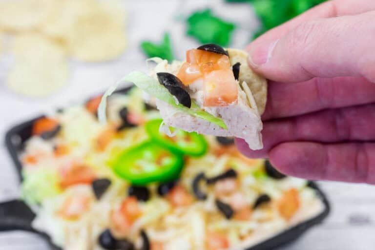 A hand is holding a chip topped with Tex-mex taco dip above.