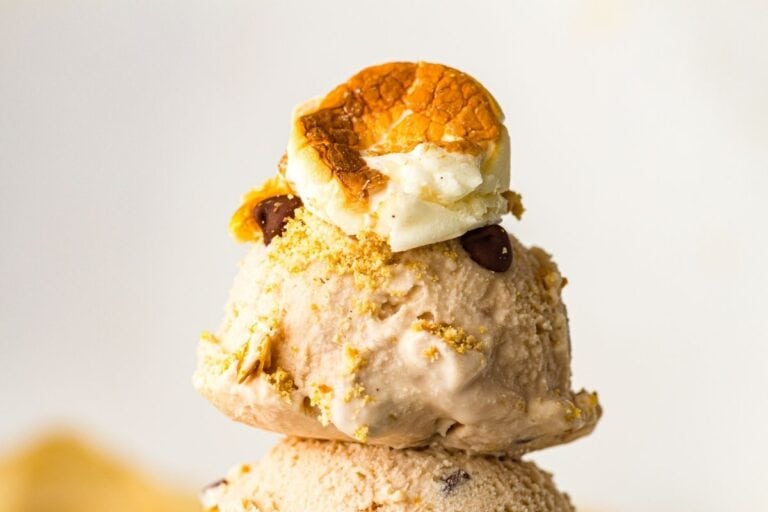A scoop of ice cream topped with chocolate chips, graham cracker crumbs, and a toasted marshmallow.