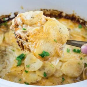 A hand holding a serving spoon with cheesy scalloped potatoes above a casserole dish filled with more scalloped potatoes, garnished with parsley.